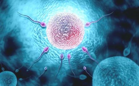 移植前内膜多少才算正常，第二代试管成功12个胚胎 
